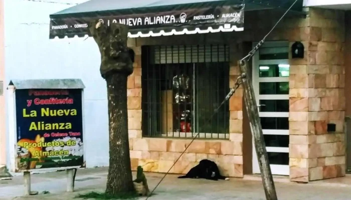 Confitería Y Despensa - La Nueva Alianza - Dpr