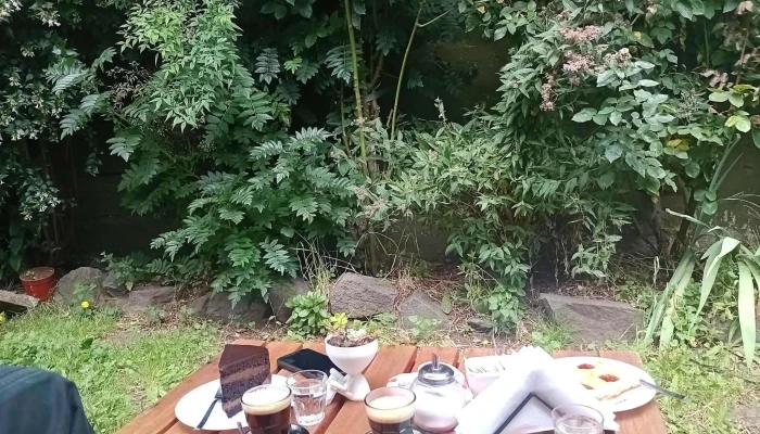 De Mama Ambiente - San Martín de los Andes