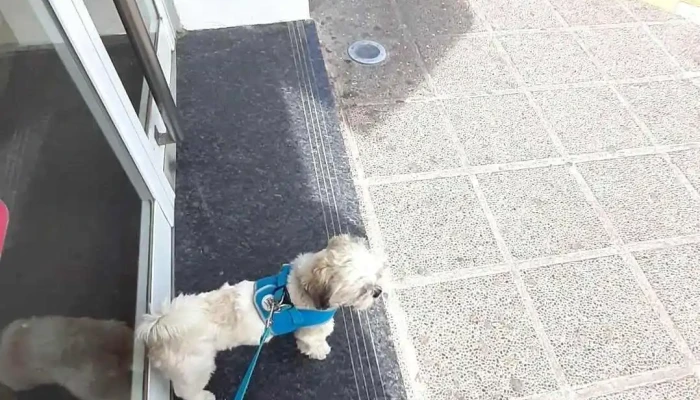 Dolce Barile Suc Belgrano Videos - Comodoro Rivadavia