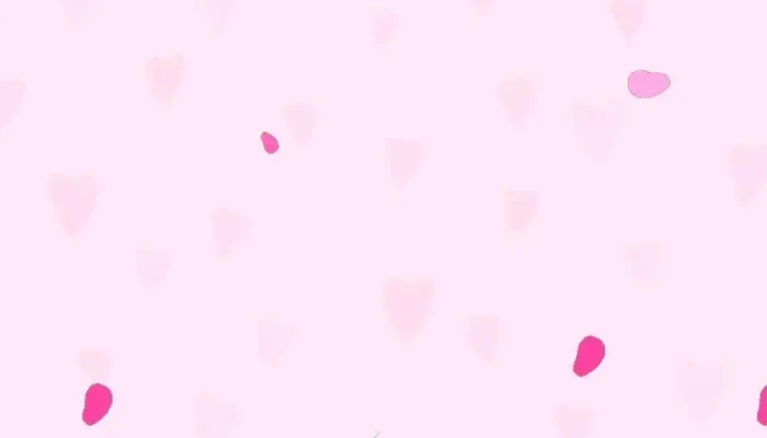 Dollys Shop Del Propietario - Chilecito