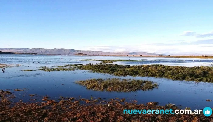Don Luis Manantiales -  Videos - El Calafate