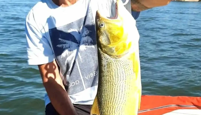 Dorado Pesca Vip -  Pesca - Paso de la Patria
