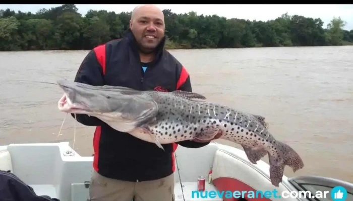 Dorado Pesca Vip -  Pez - Paso de la Patria