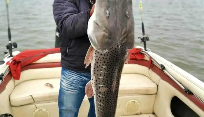 Dorado Pesca Vip -  Ubicacion - Paso de la Patria