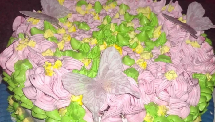 Dulce Bella Delfina -  Pastel De Cumpleanos - Resistencia