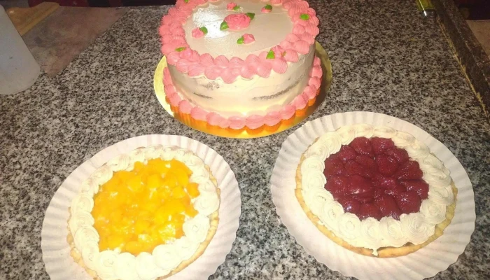 Dulce Bella Delfina -  Pastel - Resistencia