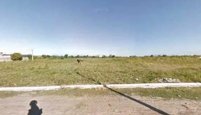 Dulce Juana -  Comentarios - Cerrillos