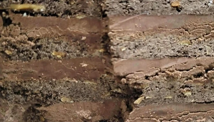 Dulce Tentacion -  Catalogo - Tostado