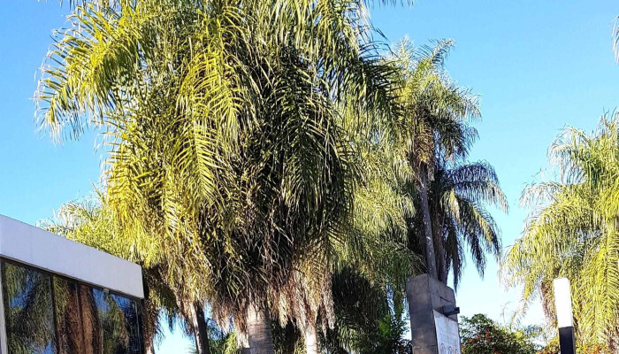 El Cairel Casas Y Apartments -  Comentarios - Paso de la Patria