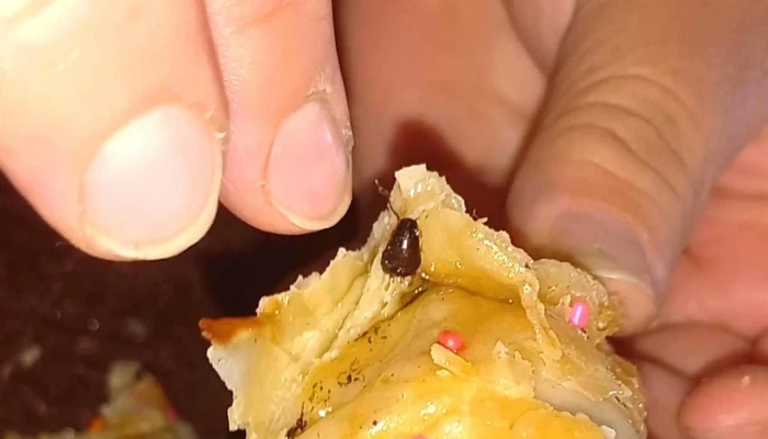 El Club Del Pan Panadería Confitería - Las Heras