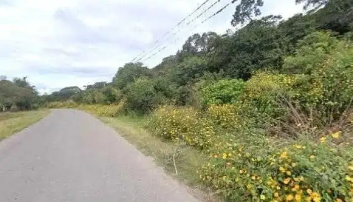 El Remate -  Numero - Palpalá