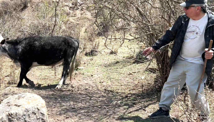 El Remate -  Tafi Del Valle - Tafí del Valle