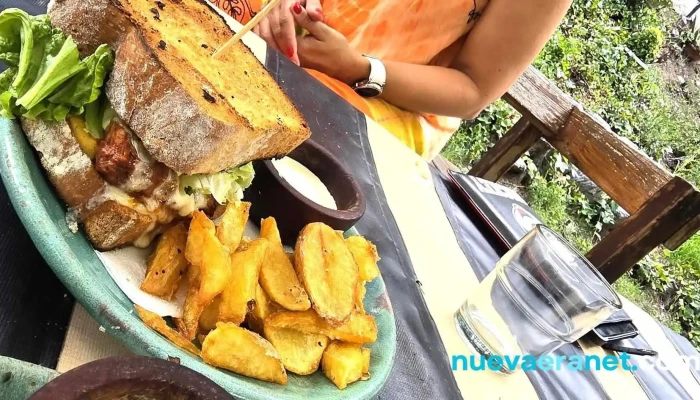El Rincon De Virginia -  Hamburguesa - Merlo