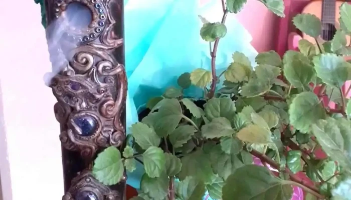 El Wero -  Videos - Capilla del Monte