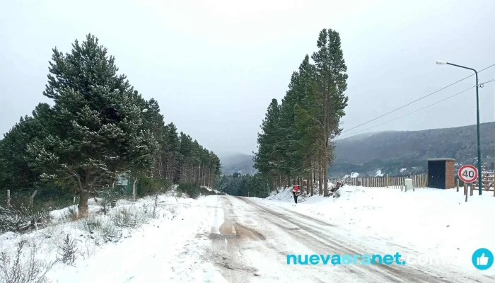 Entre Masas -  Catalogo - San Martín de los Andes