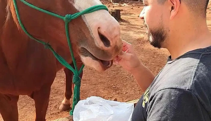 Establecimiento Caraguatay -  Caballo - Montecarlo