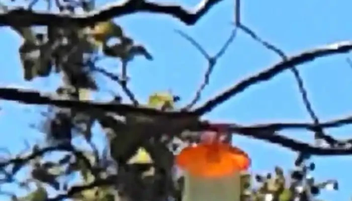 Estancia La Esmeralda -  Videos - Col. Libertad