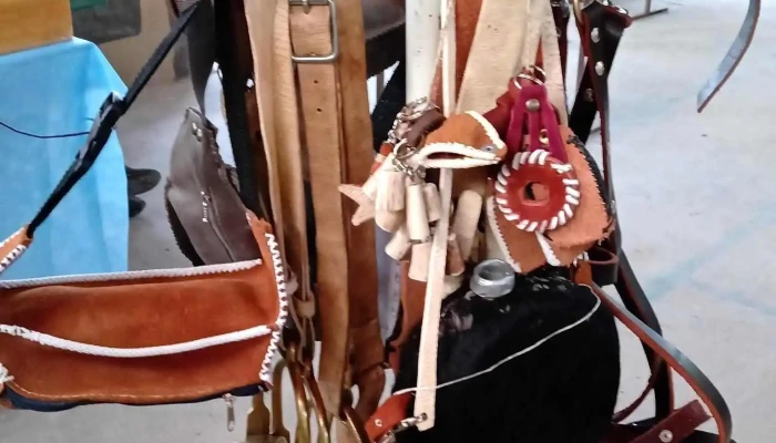 Feria Agro Artesanal Trabum Ruka -  Interior - Zapala