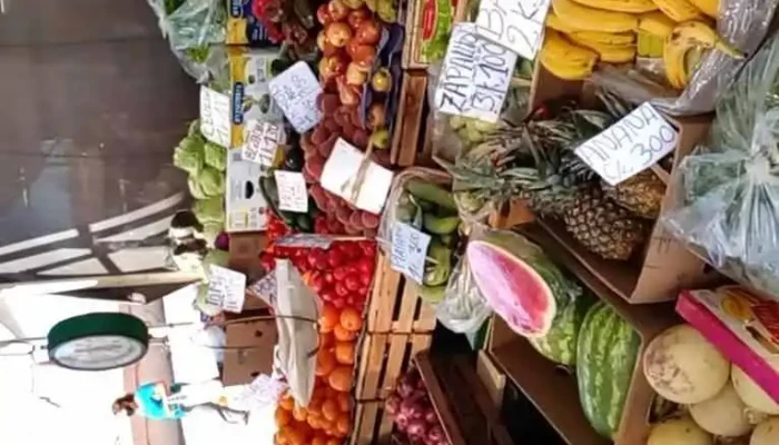 Feria Centenario -  Videos - Centenario