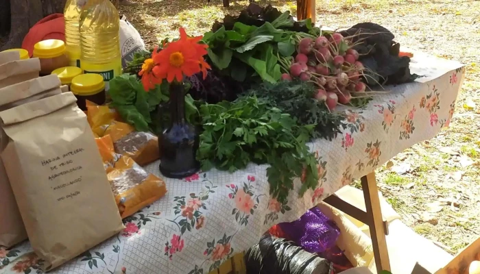 Feria De Productores De La Economia Social De Salsipuedes Videos - Colón