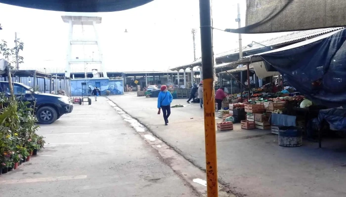 Feria Y Mercado De Abasto Municipal De La Capital De San Juan -  Opiniones - San Juan