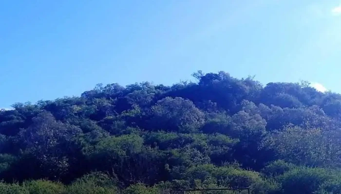 Finca El Pacara De Los Visitantes - Agua de Oro