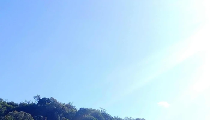 Finca El Pacara Telefono - Agua de Oro