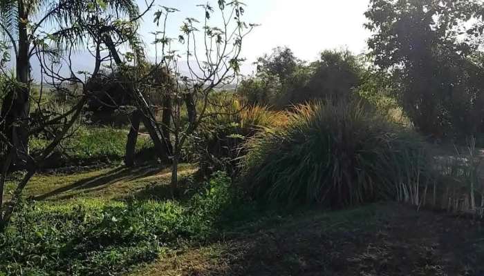 Finca Koppetsch -  De Los Visitantes - La Cocha