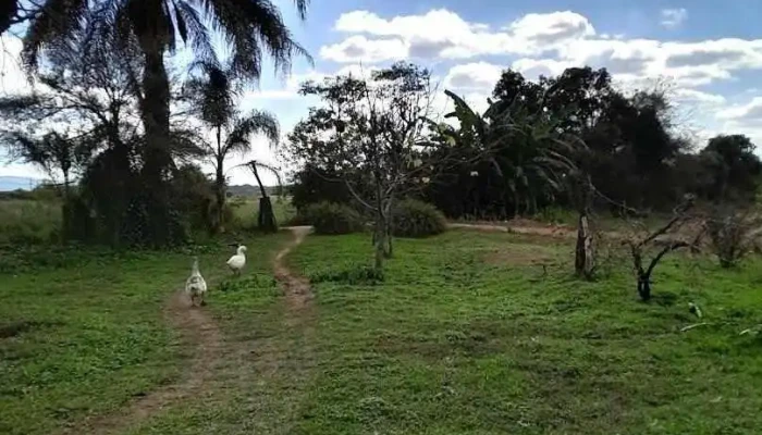 Finca Koppetsch - La Cocha