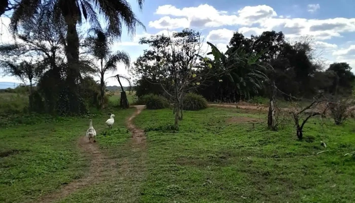 Finca Koppetsch -  Ubicacion - La Cocha