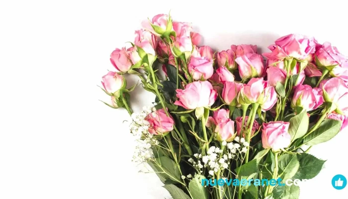Floreria Luz Maria Rosa - Laboulaye