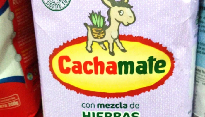 Funcional Leon Sa Sitio Web - Sáenz Peña