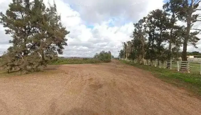 Ganaderos De Ceres -  Dondedeg - Ceres