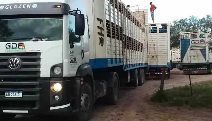 Ganaderos De Formosa Srl Consignataria Y Transporte De Hacienda Comentarios - Ibarreta