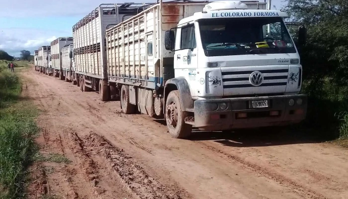 Ganaderos De Formosa Srl Consignataria Y Transporte De Hacienda Formosa - Formosa