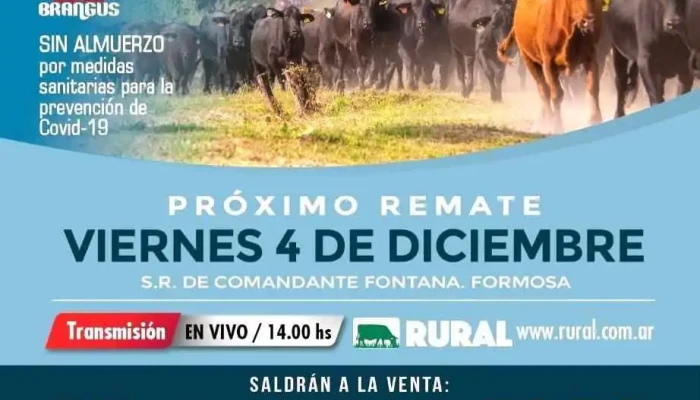 Ganaderos De Formosa Srl Consignataria Y Transporte De Hacienda Ganado Vacuno - Formosa