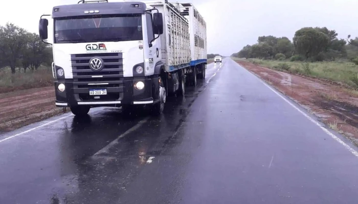Ganaderos De Formosa Srl Consignataria Y Transporte De Hacienda Ibarreta - Ibarreta