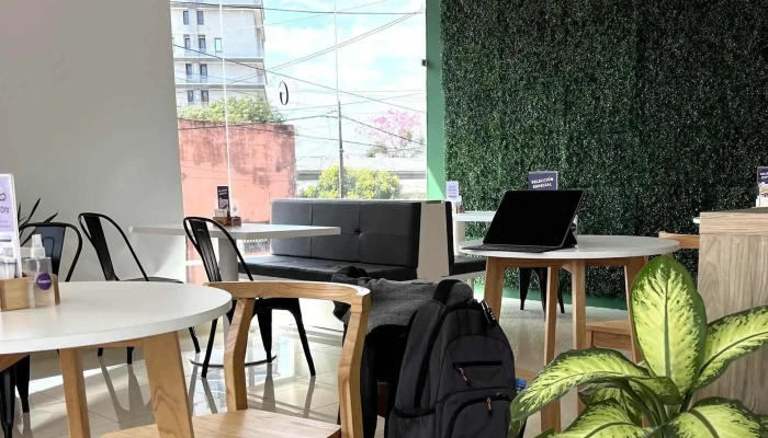 Genovesa Pasteleria Ambiente - Posadas