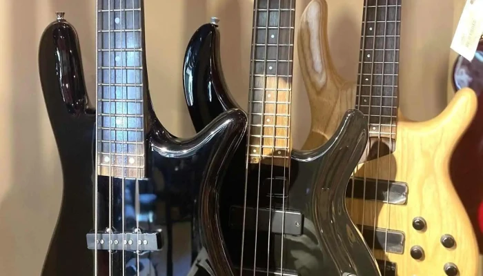 Hoffmann Instrumentos Musicales San Juan -  Del Propietario - San Juan
