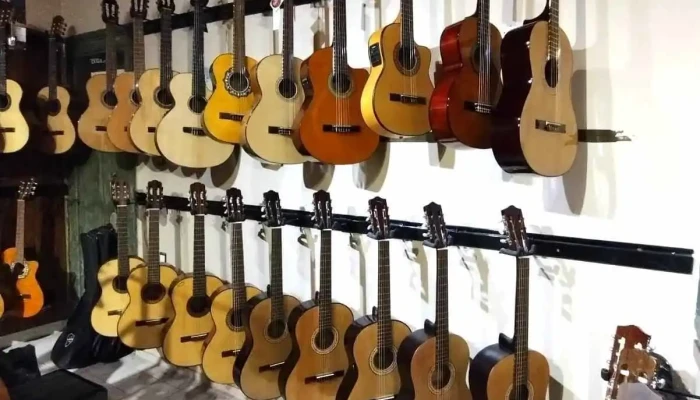 Hoffmann Instrumentos Musicales San Juan -  Guitarra Electrica - San Juan
