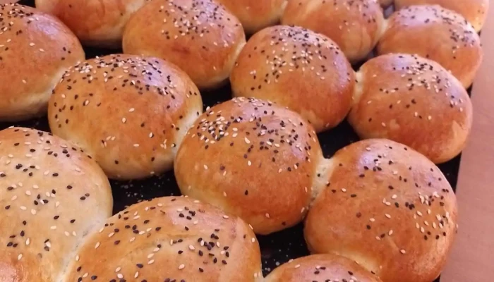Hospedaje El Andino Y Panaderia Dfnn Comida Y Bebida - Salar de Pocitos
