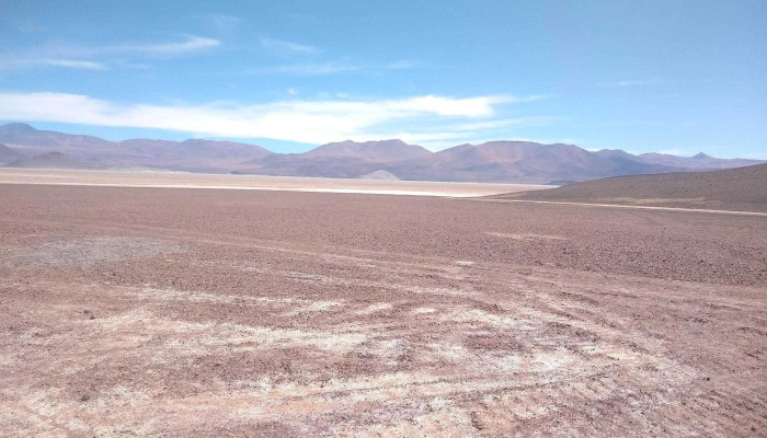 Hospedaje El Andino Y Panaderia Dfnn De Los Visitantes - Salar de Pocitos