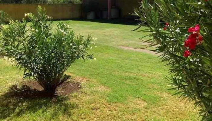 Hospedaje El Triunfo -  De Los Visitantes - Buena Esperanza