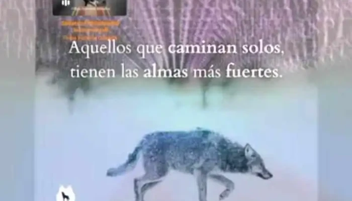 Huinca Renanco Cordoba Videos - Huinca Renanco