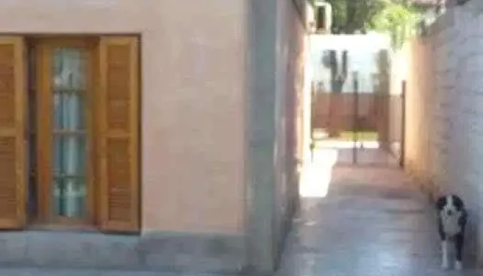 Inmobiliaria Alejandra Olivares -  Del Propietario - San Juan