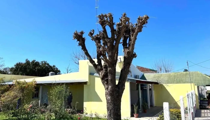 La Cabana Letty Exterior - Concepción