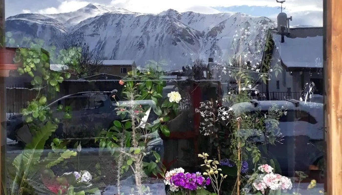 La Espiga -  Fotos - Esquel
