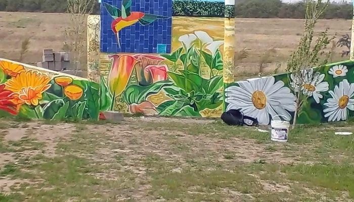 La Estrella -  Videos - Laboulaye