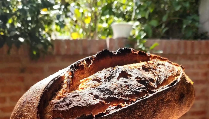 La Forja -    Panaderia Artesanal De Masa Madre Opiniones - Neuquén