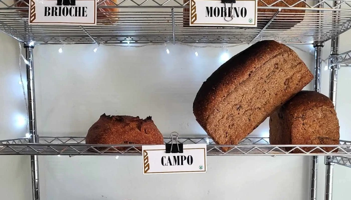 La Forja -    Panaderia Artesanal De Masa Madre Videos - Neuquén